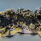 Комплект гирлянд (с мерцающим диодом) - 1000 LED 5x20м (провод каучук)