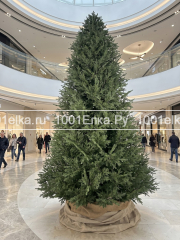 Финская люкс, 4 метра